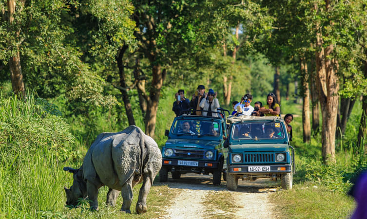 Kaziranga National Park