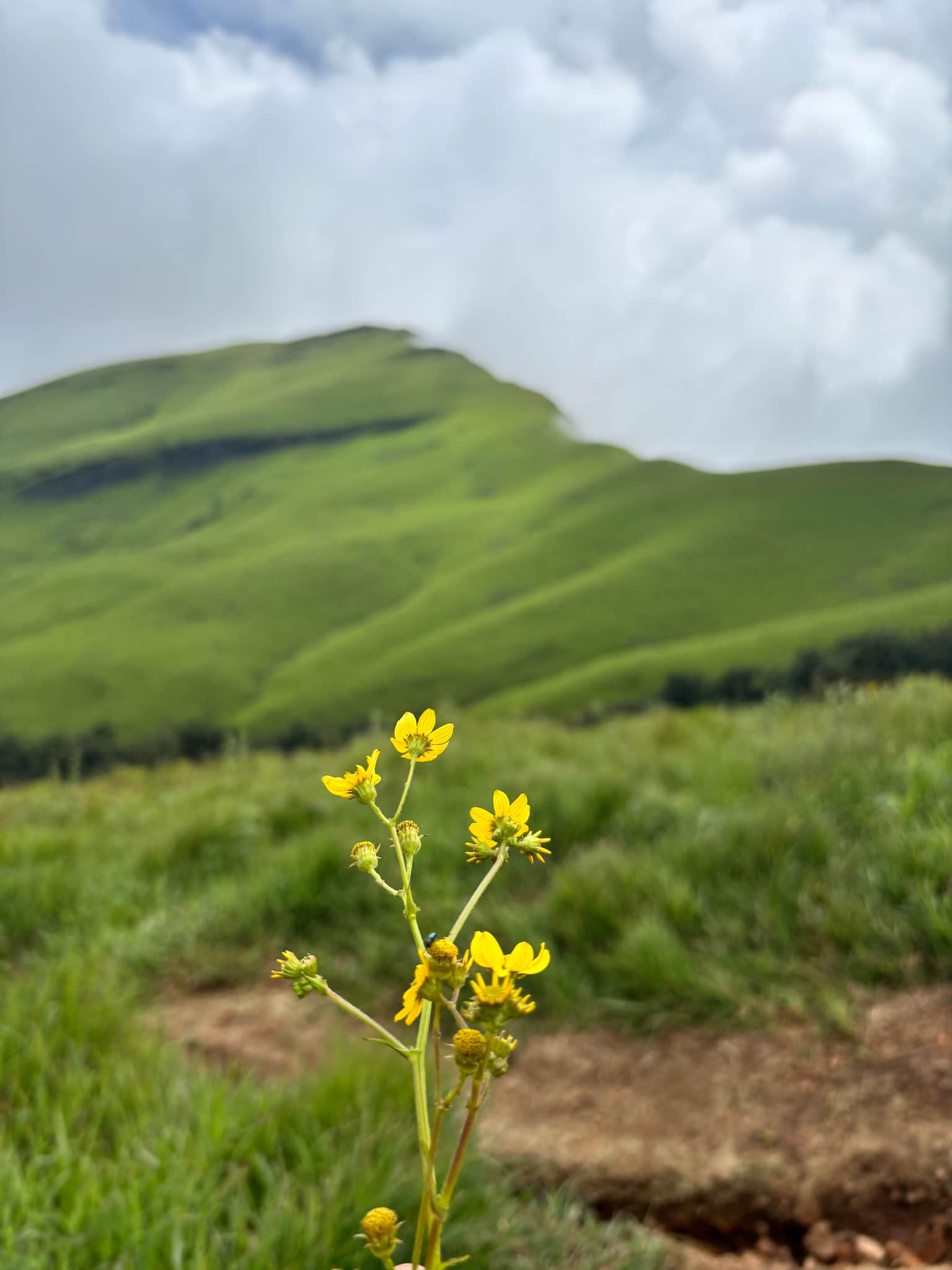 Photo from Anukalp Jain's trip