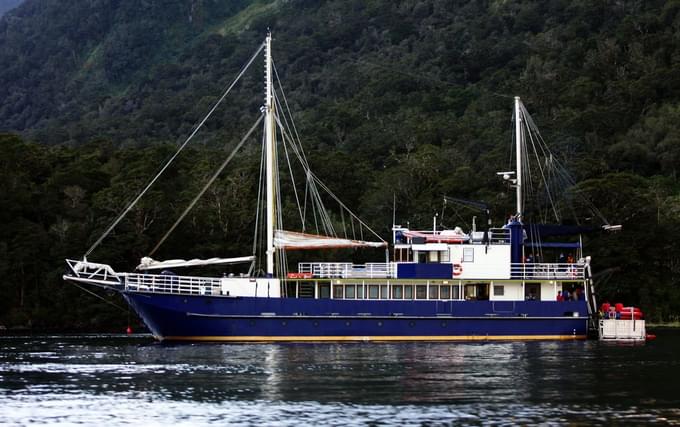 Milford Sound Nature Cruise with Picnic Lunch