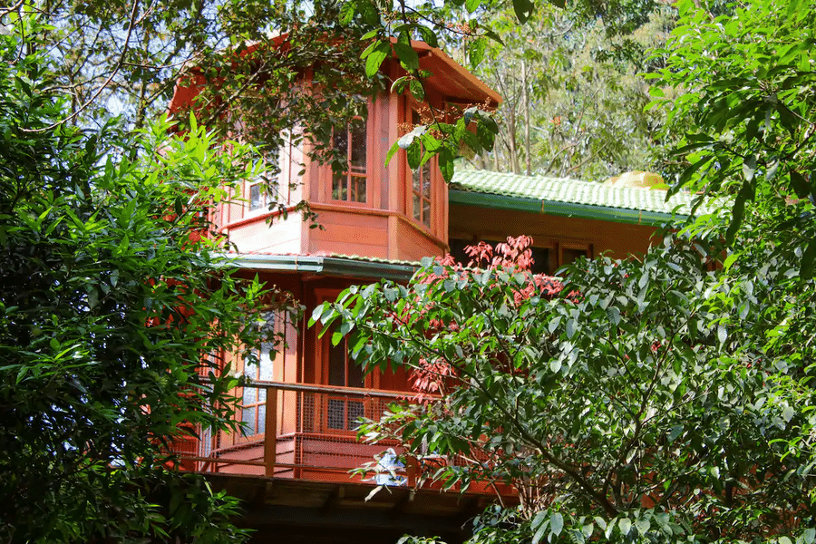 A Treehouse Amidst The Valley Of Coorg Image