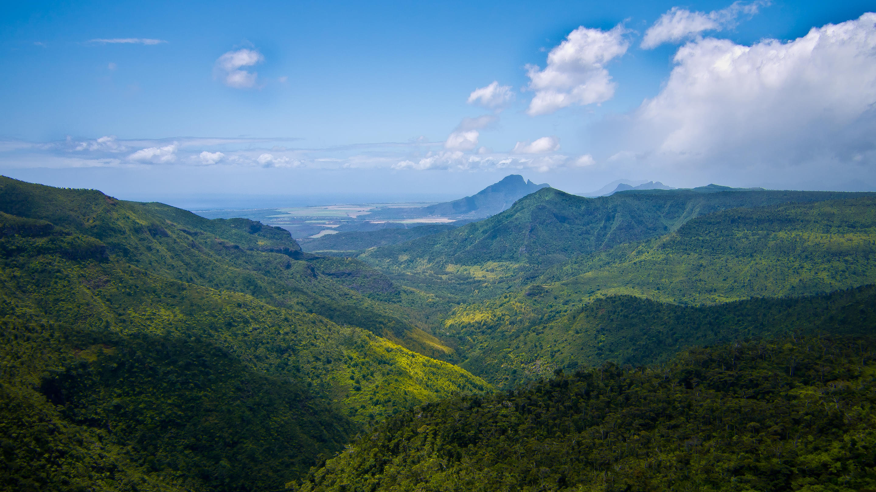 Black River Overview