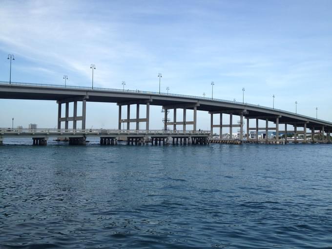 Blue Heron Bridge.jpg