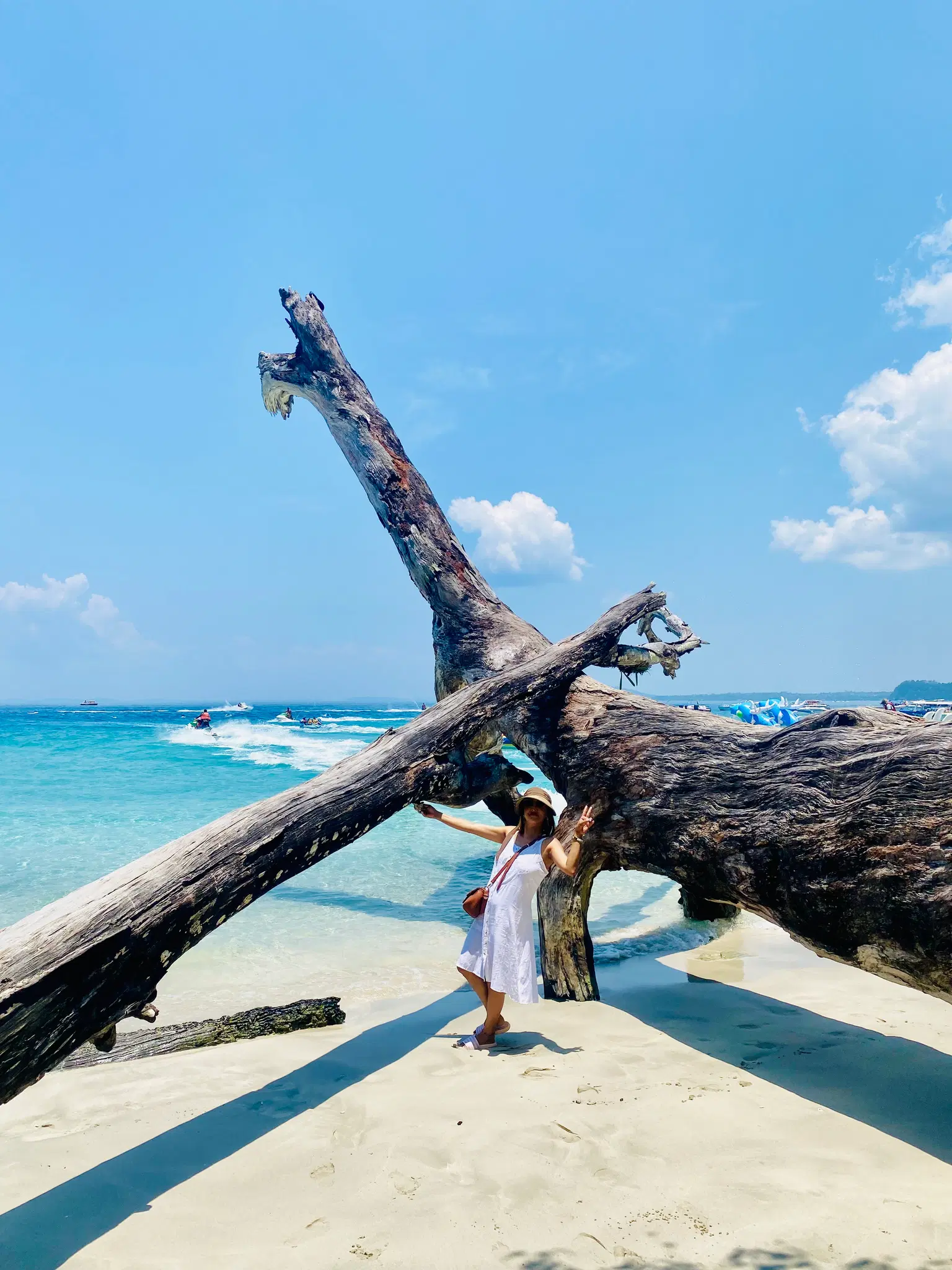 Photo from Dechen Chomu Bhutia's trip