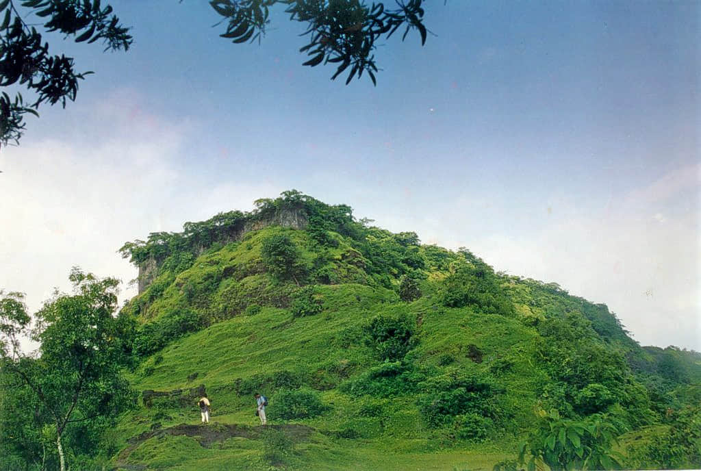 Tala Fort