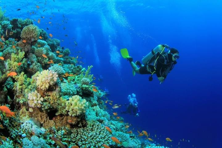 Scuba Diving Courses in Dubai