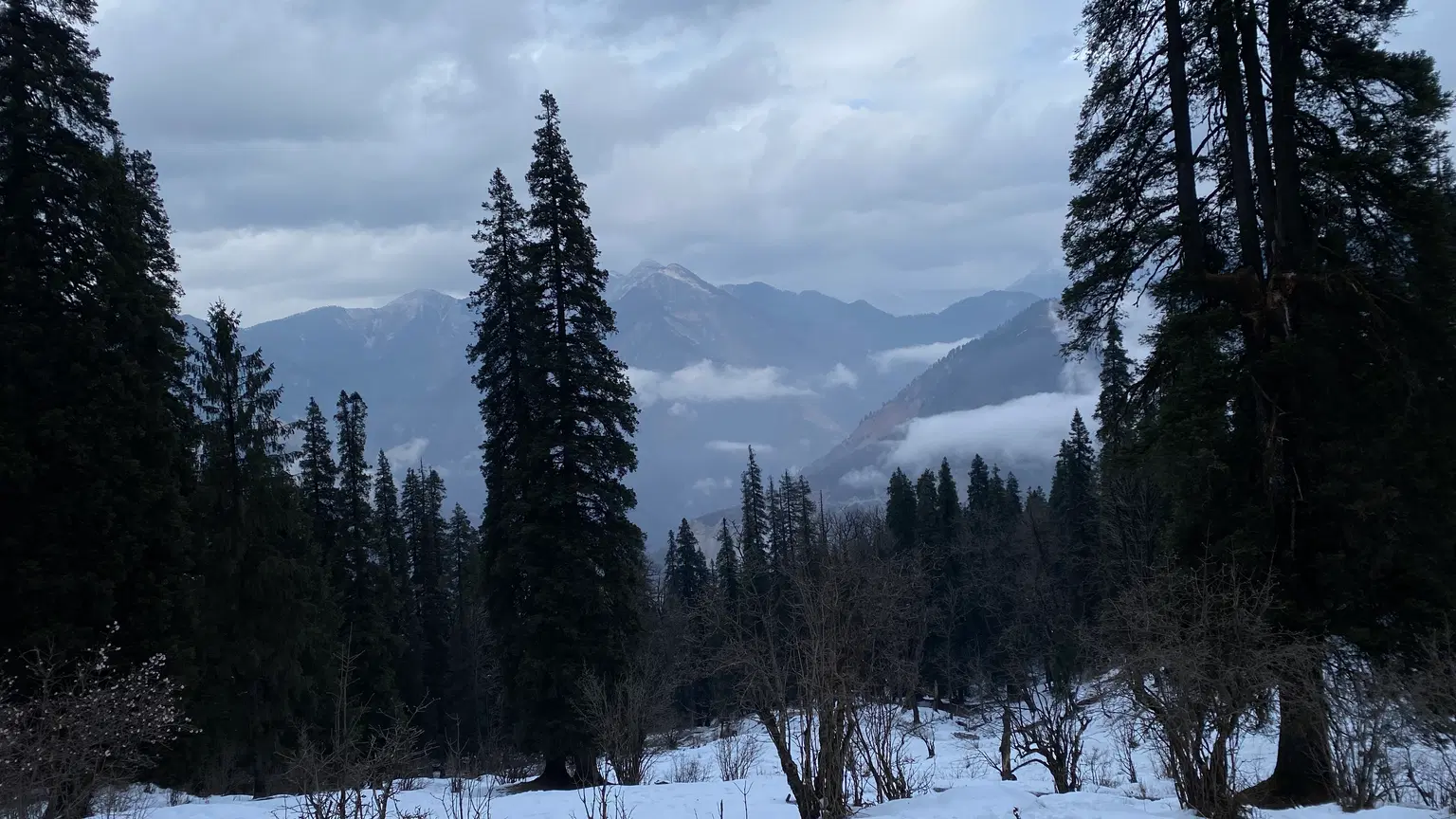 Photo from Nandini Sharma's trip
