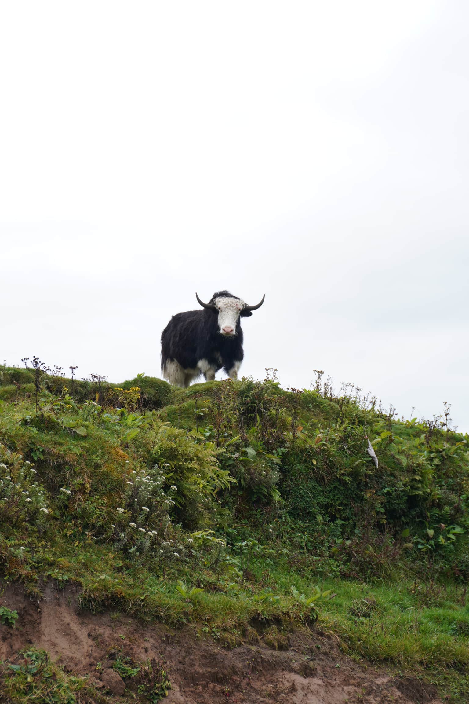 Photo from Dipali Barman's trip
