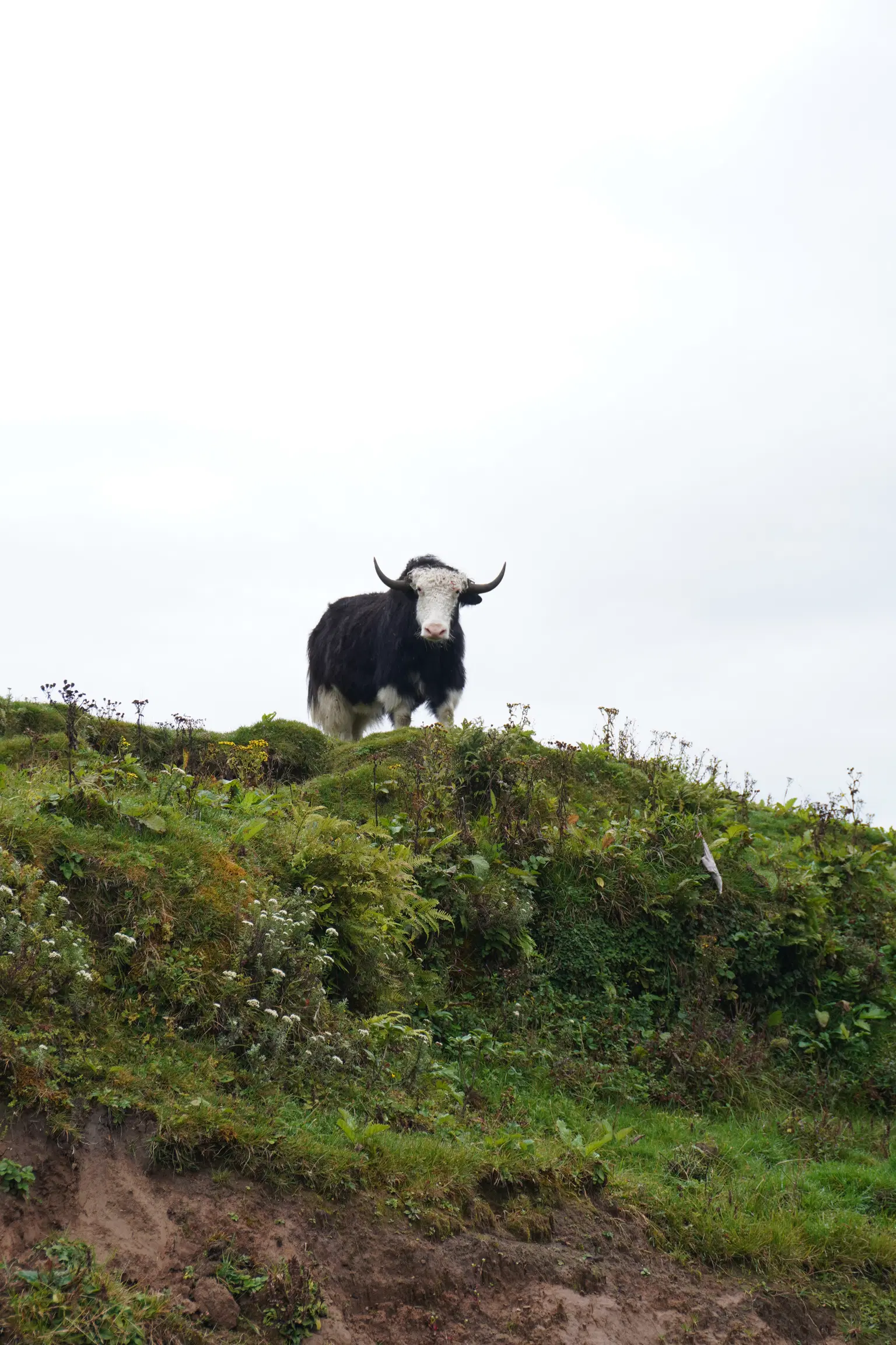 Photo from Dipali Barman's trip