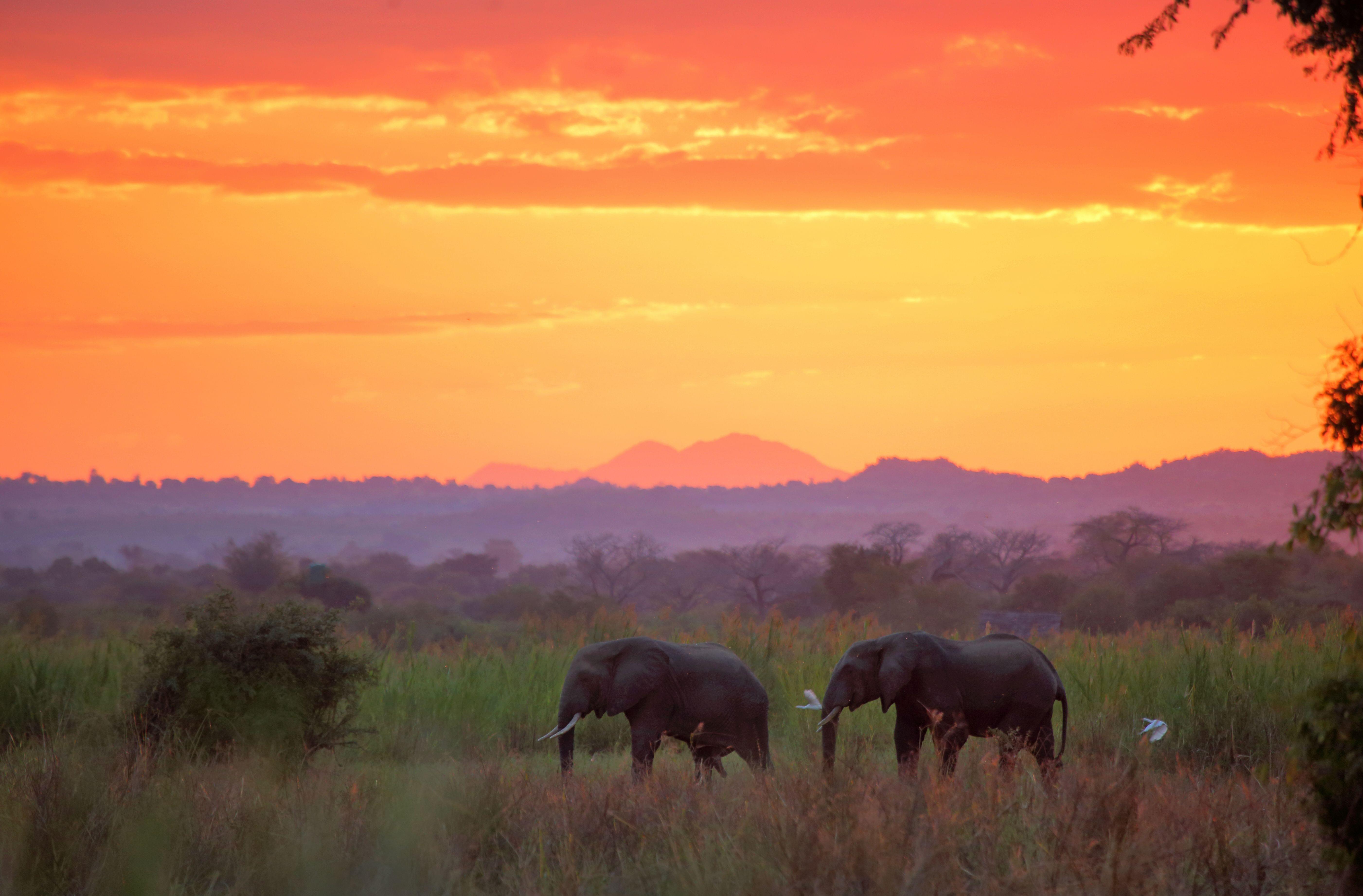 Malawi Safari Holidays