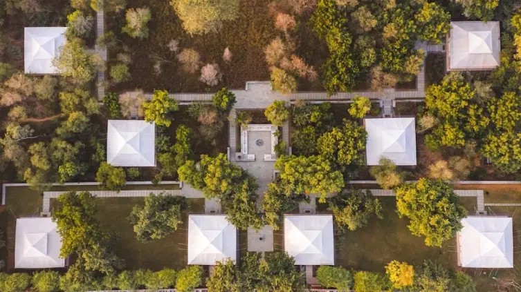 lush green resort with beautiful nature