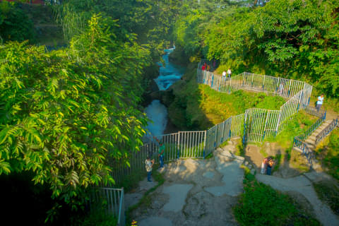 Activity & SightSeeing Image