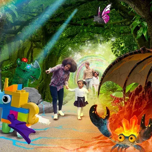 Magical Forest.webp