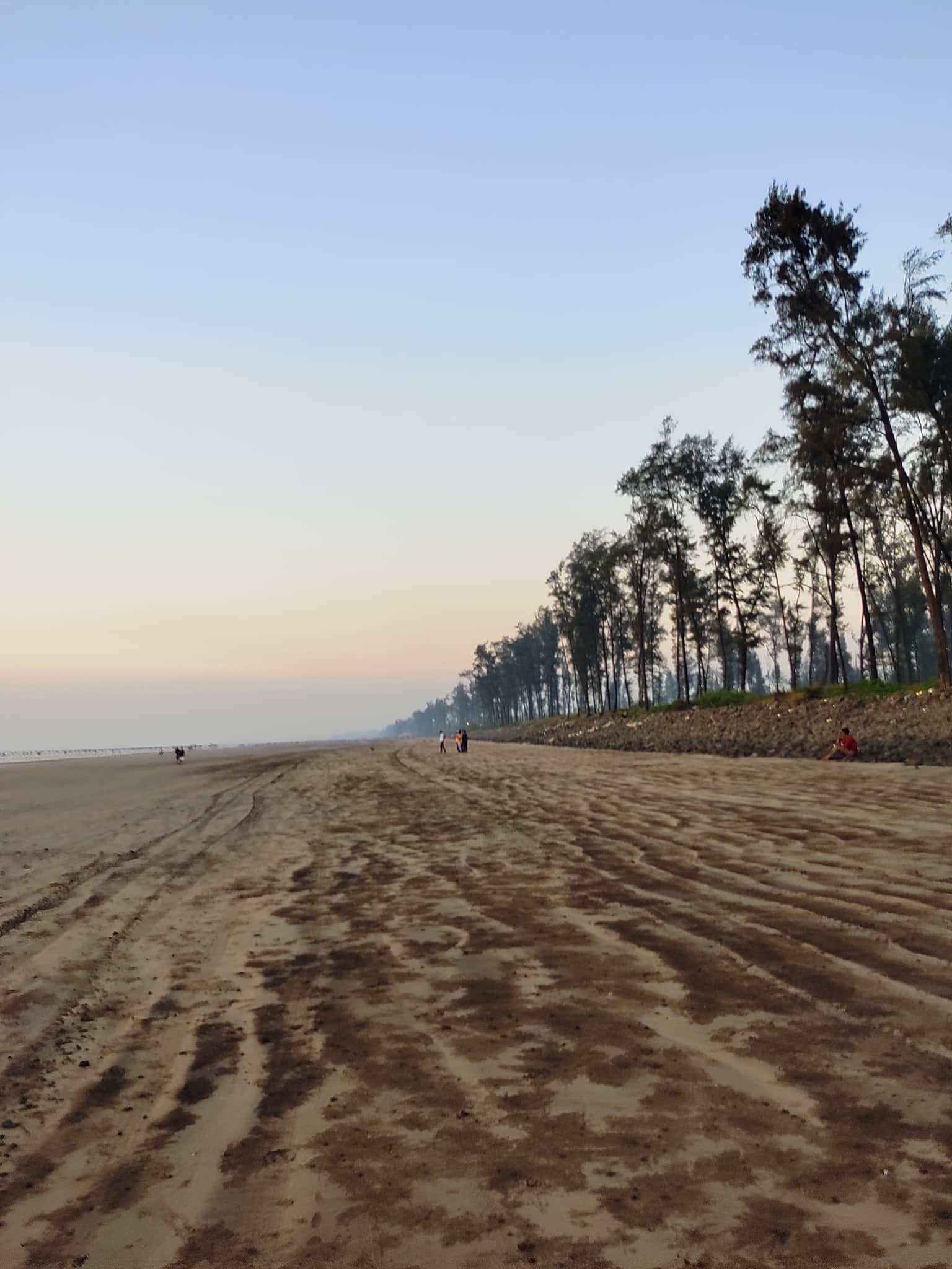 Photo from Ankita Dolas's trip