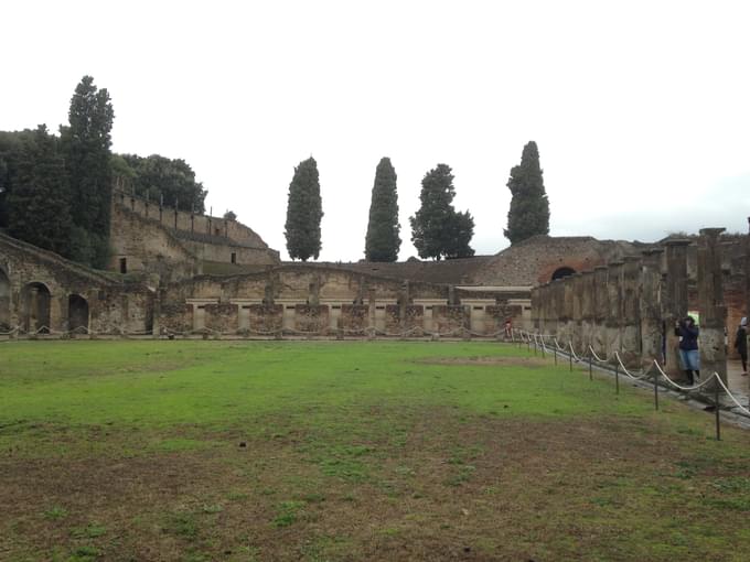 The Palaestra