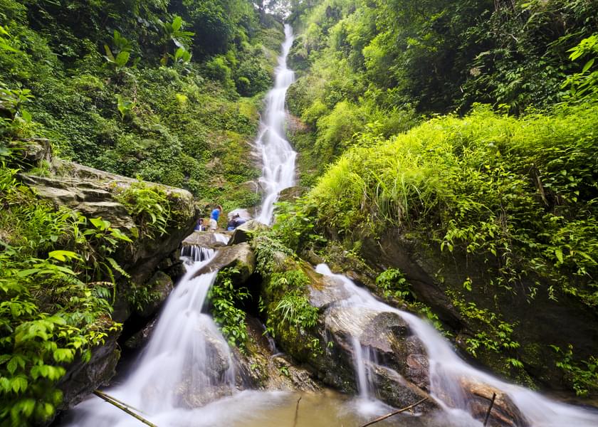 Pelling City Sightseeing Tour Image