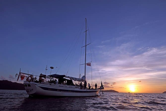 Sunset Mangrove Cruise Experience in Langkawi Image