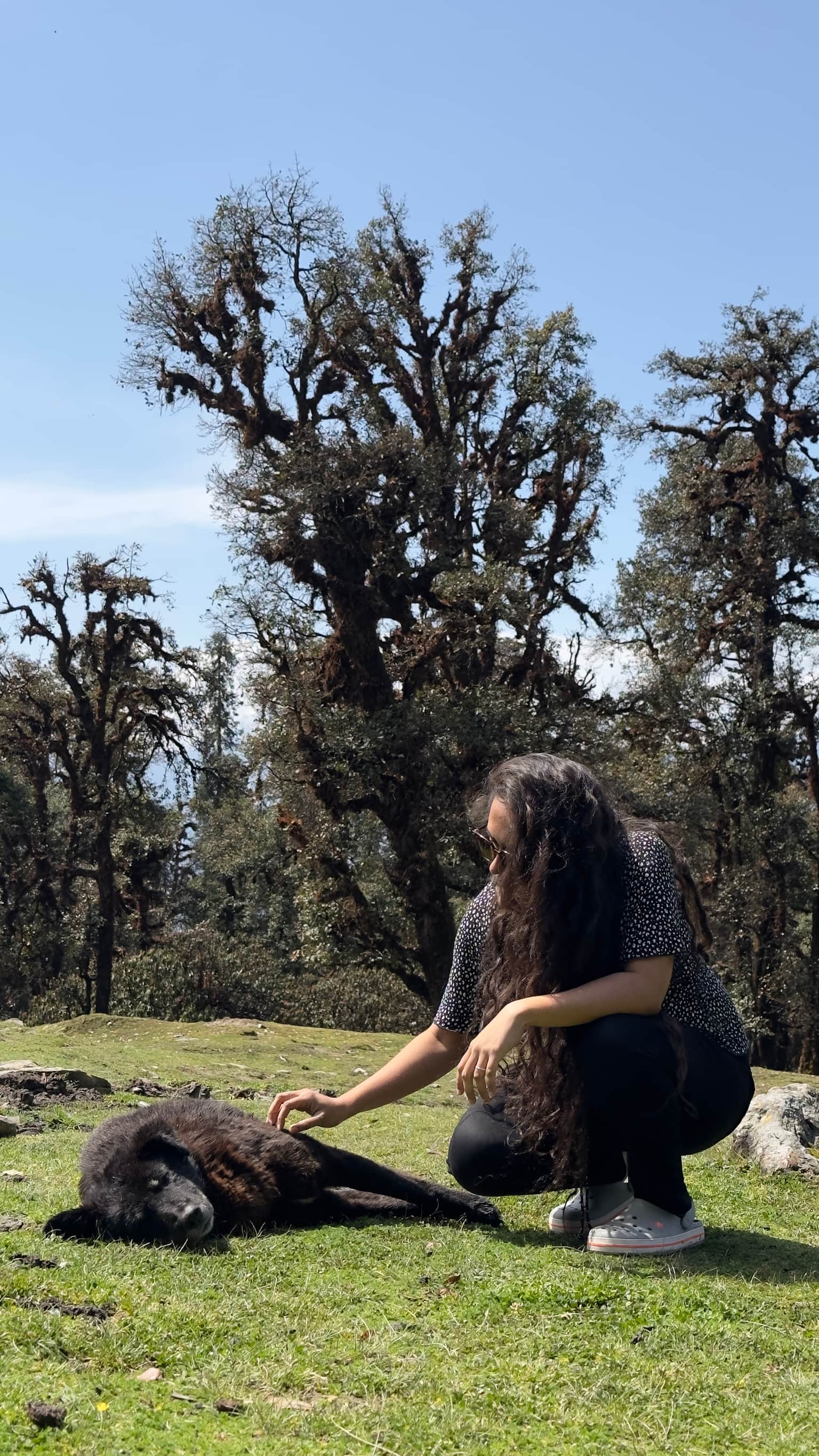 Photo from Kavita Dhanani's trip