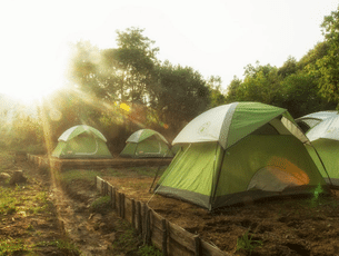 Campsite View