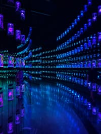 Мария Гончарова