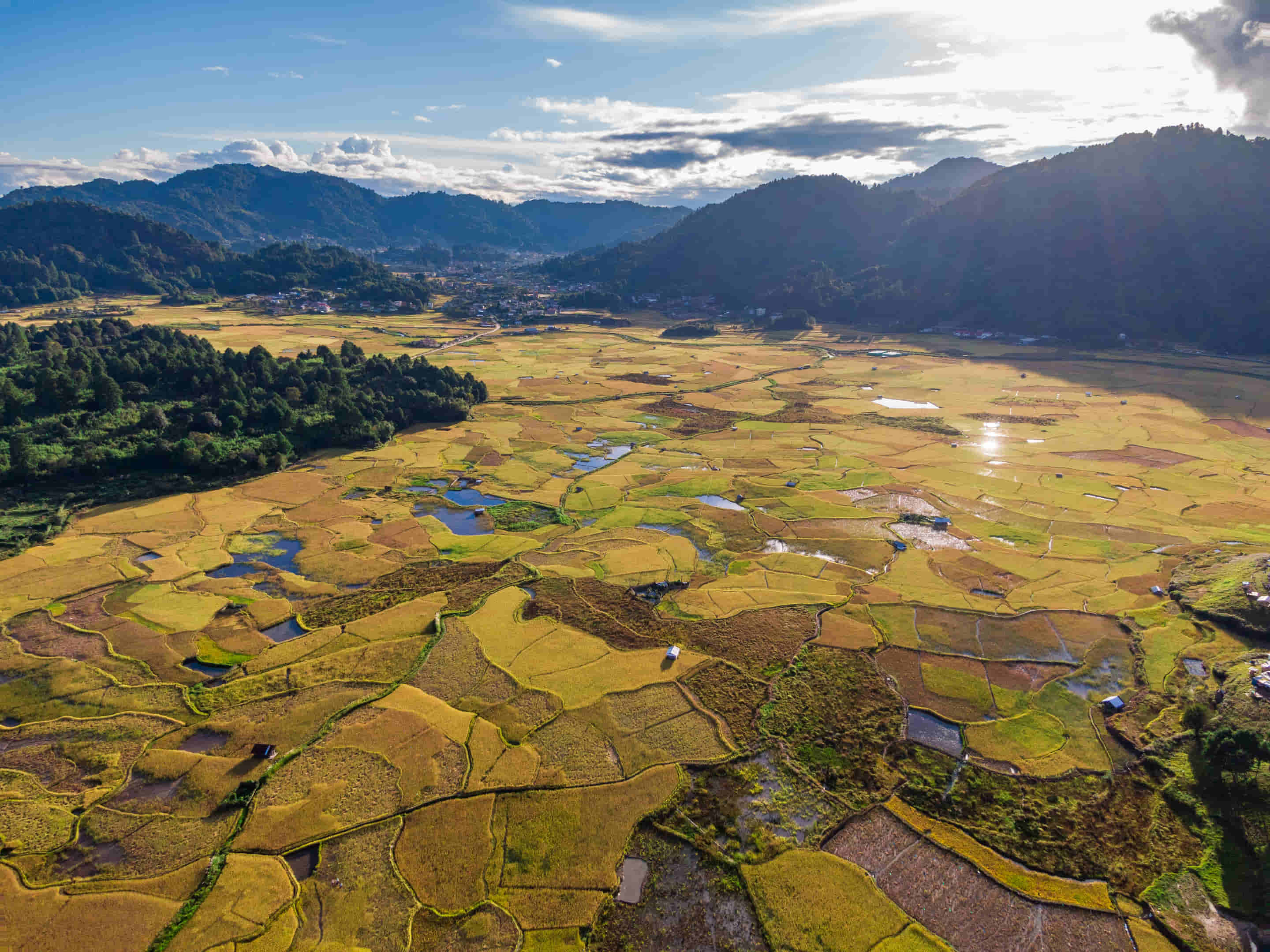 Ziro Tour Packages