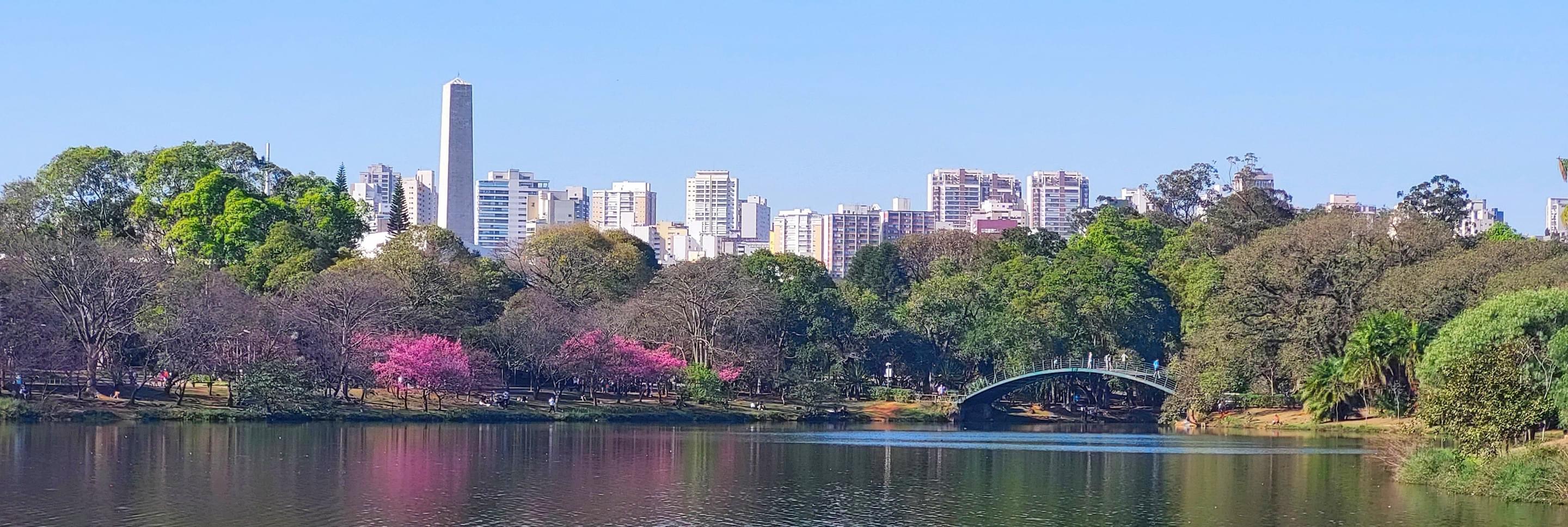 Ibirapuera Park Overview