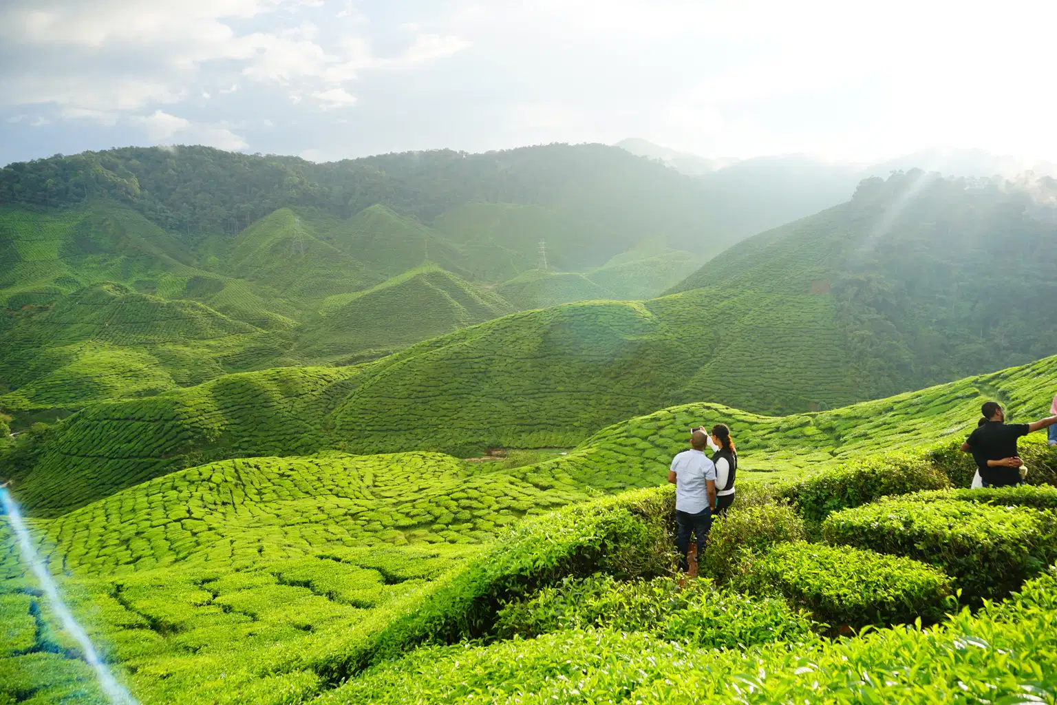 Cameron Highlands Day Tour