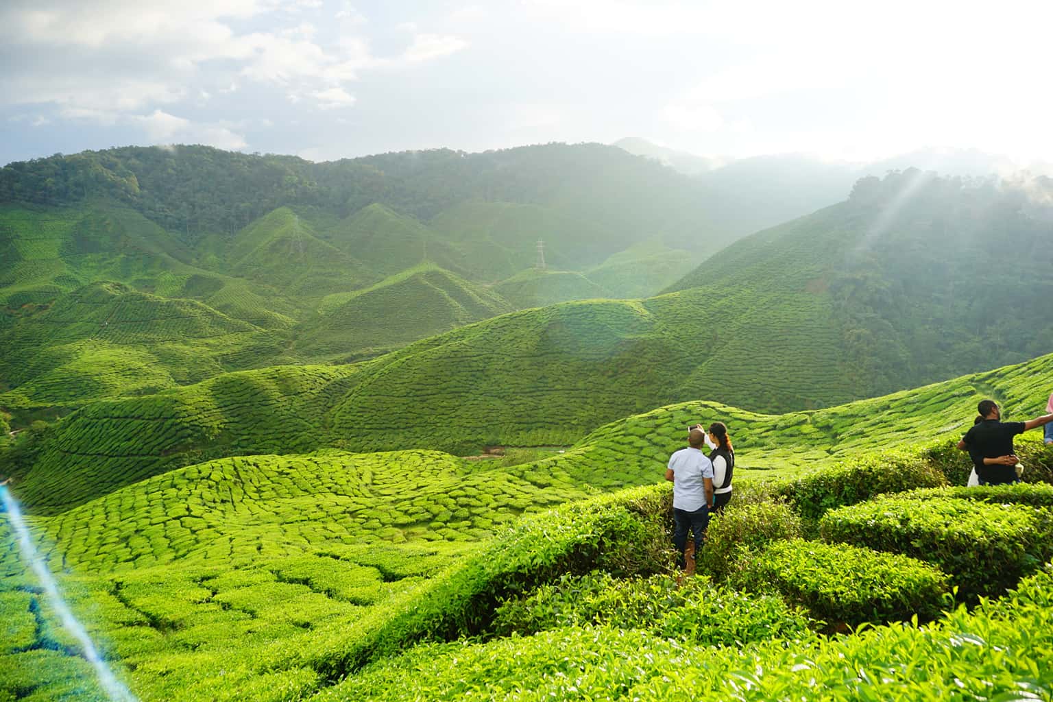 Cameron Highlands Day Tour