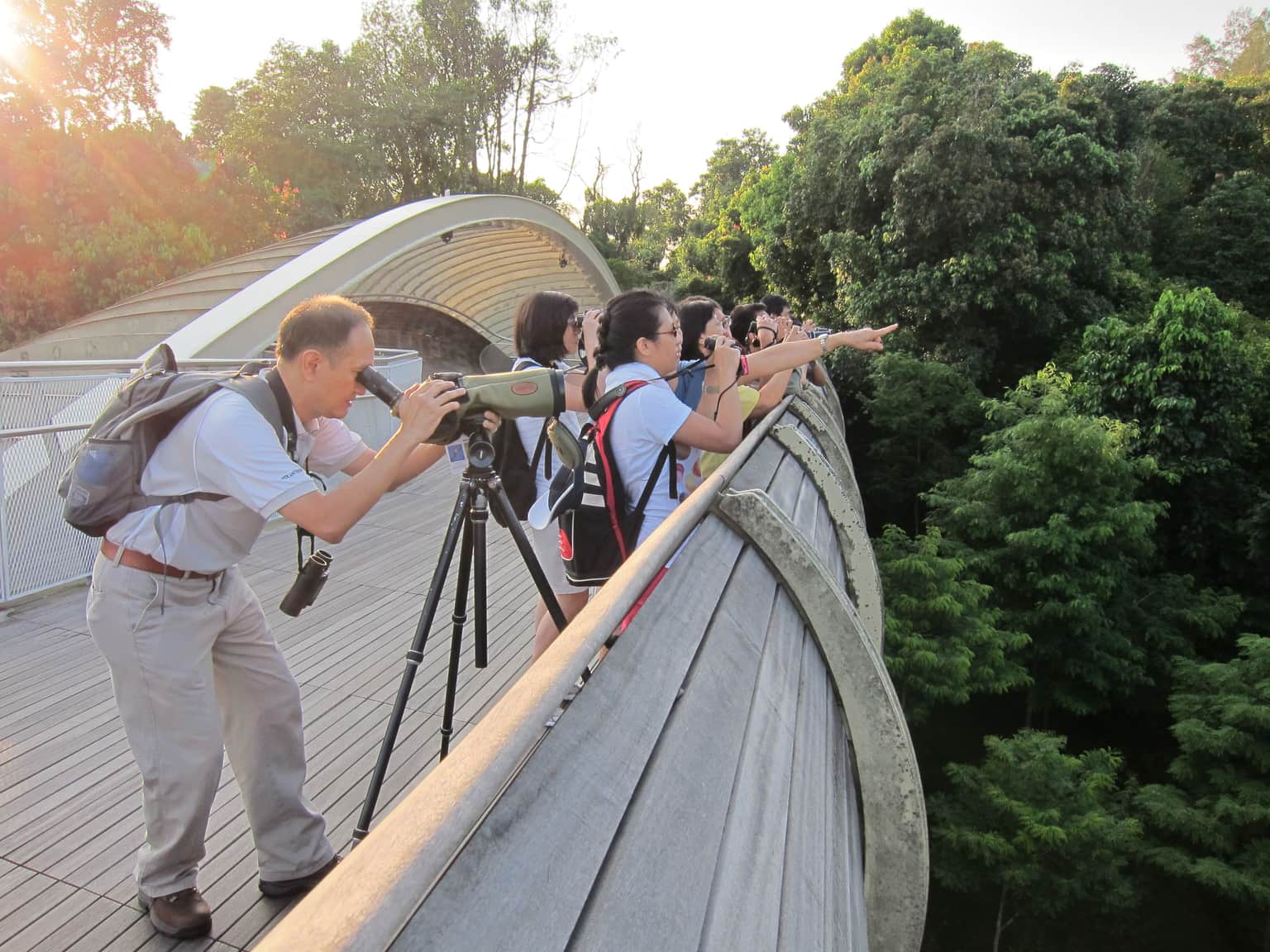 Bird watching in the Southern Ridge