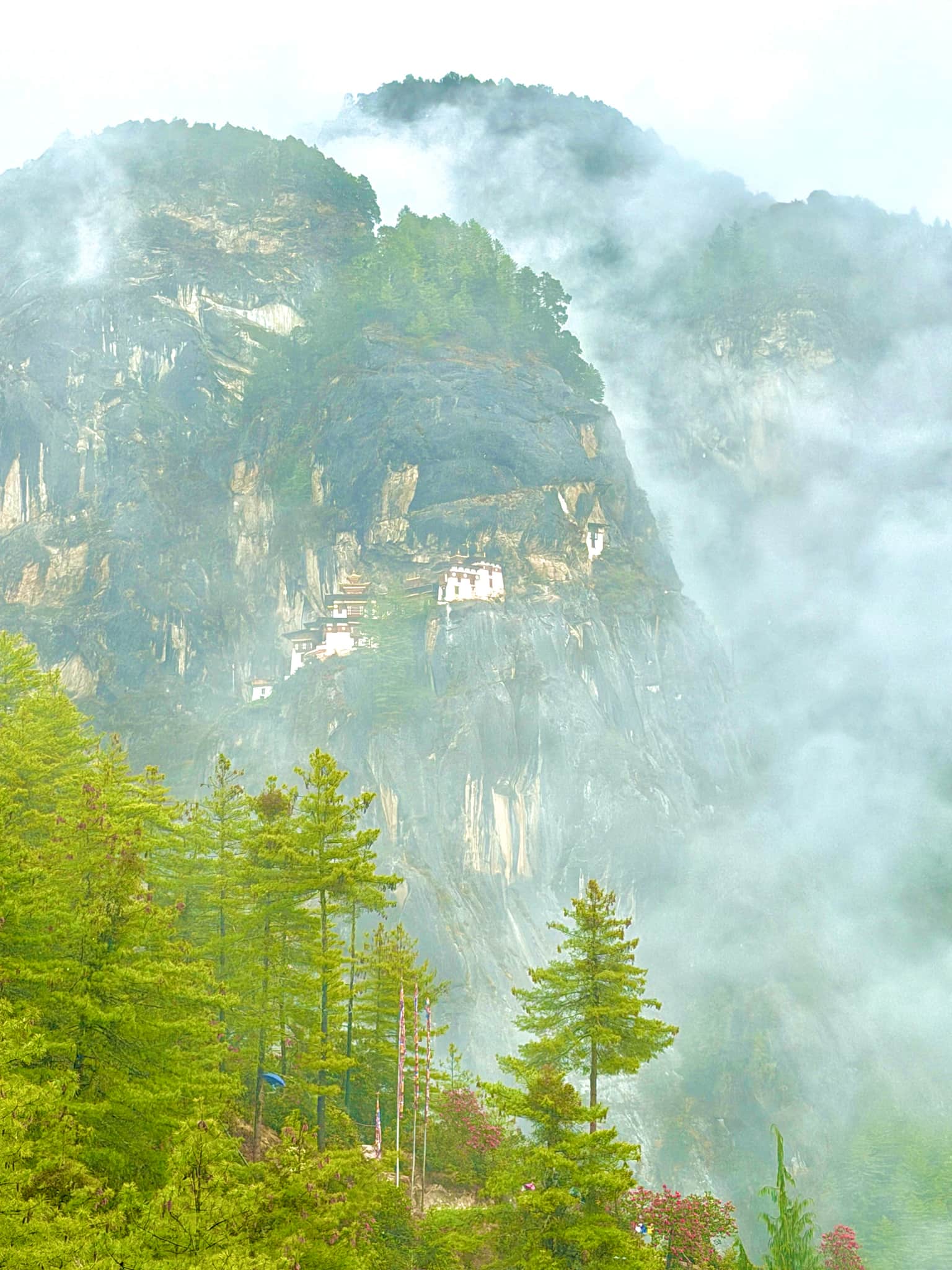 Photo from Rajiv Pothala's trip