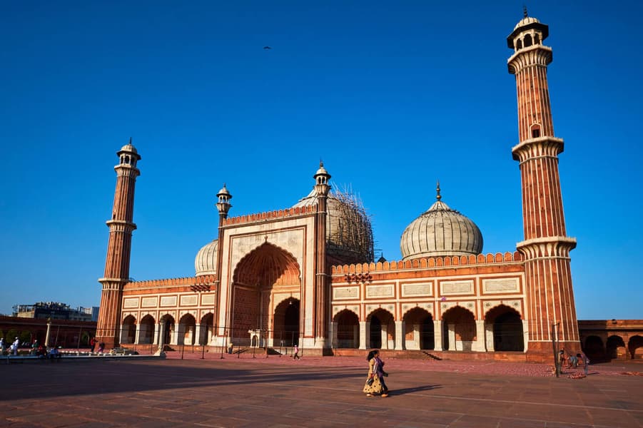 Delhi Sightseeing Tour with Jama Masjid Image