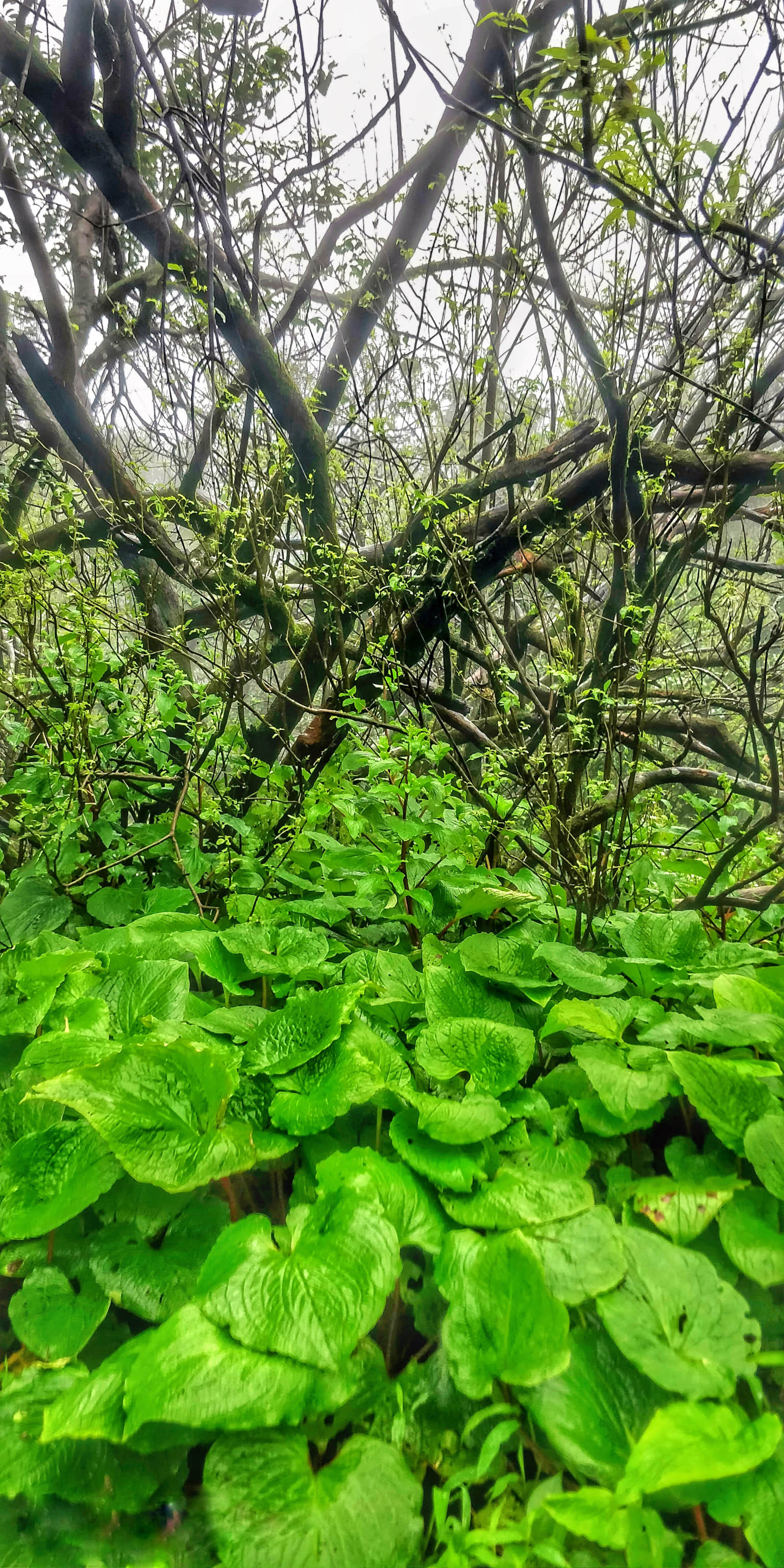 Photo from Swapna Yelluru's trip