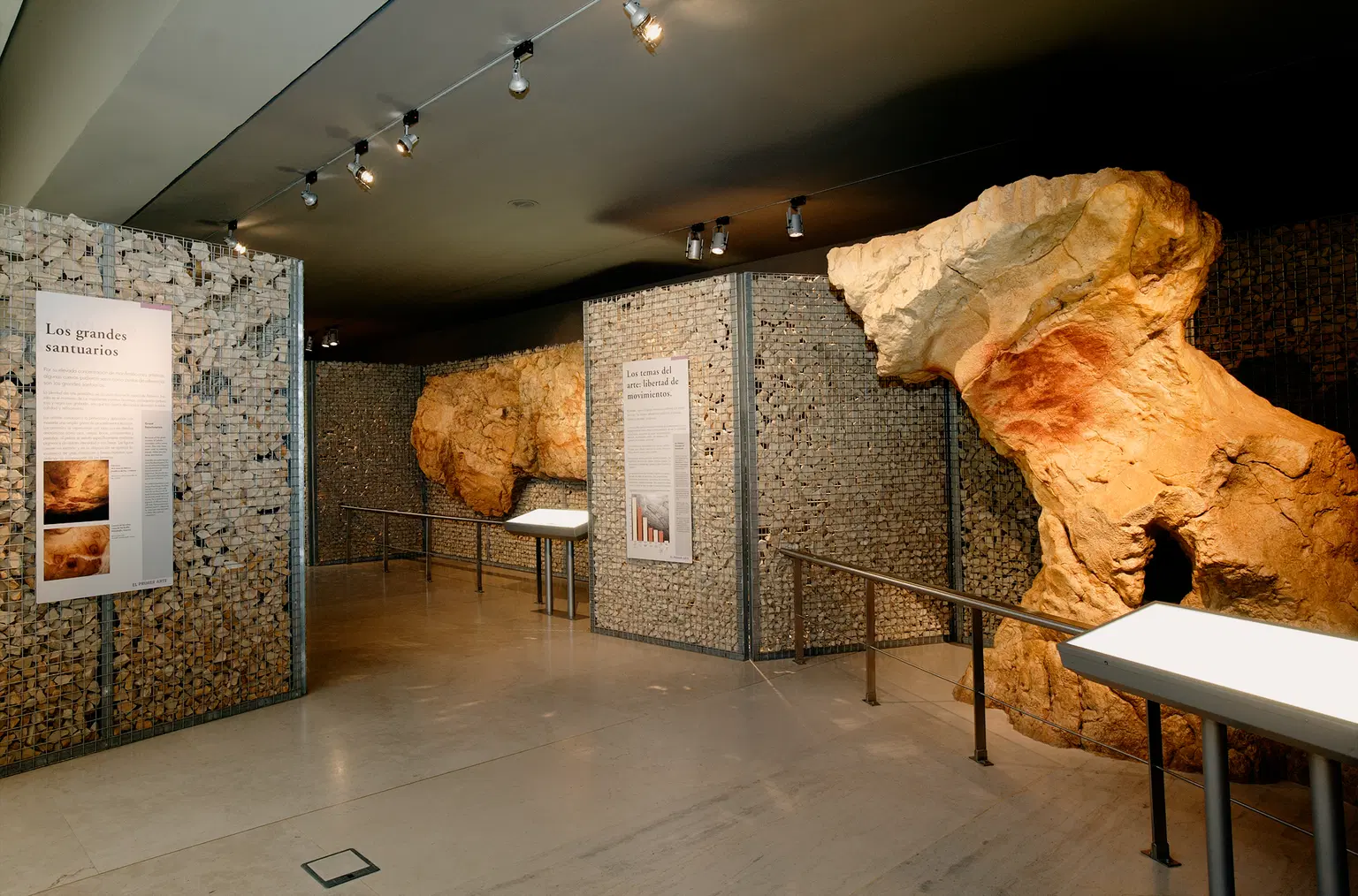 Educational Programs and Workshops