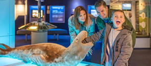 Taqyf4w2y7j0o07s46d7m3849rx7 1583236332 444