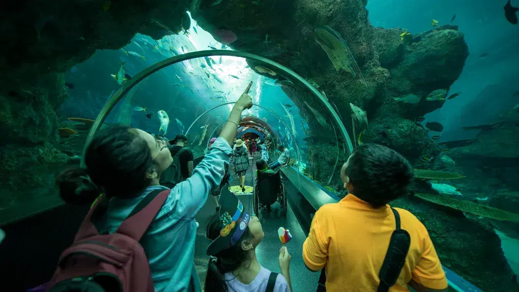Georgia Aquarium Atlanta