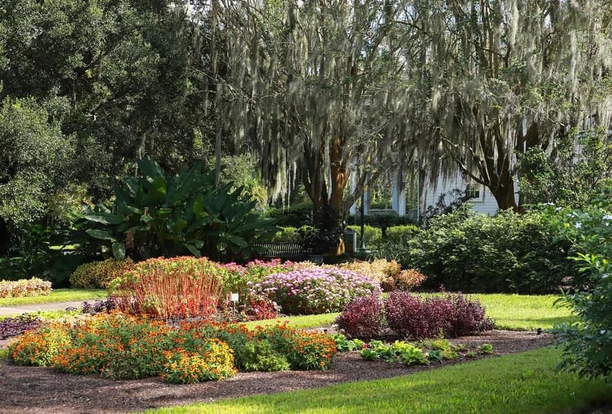 Spend a day at the Harry P Leu Gardens in Orlando