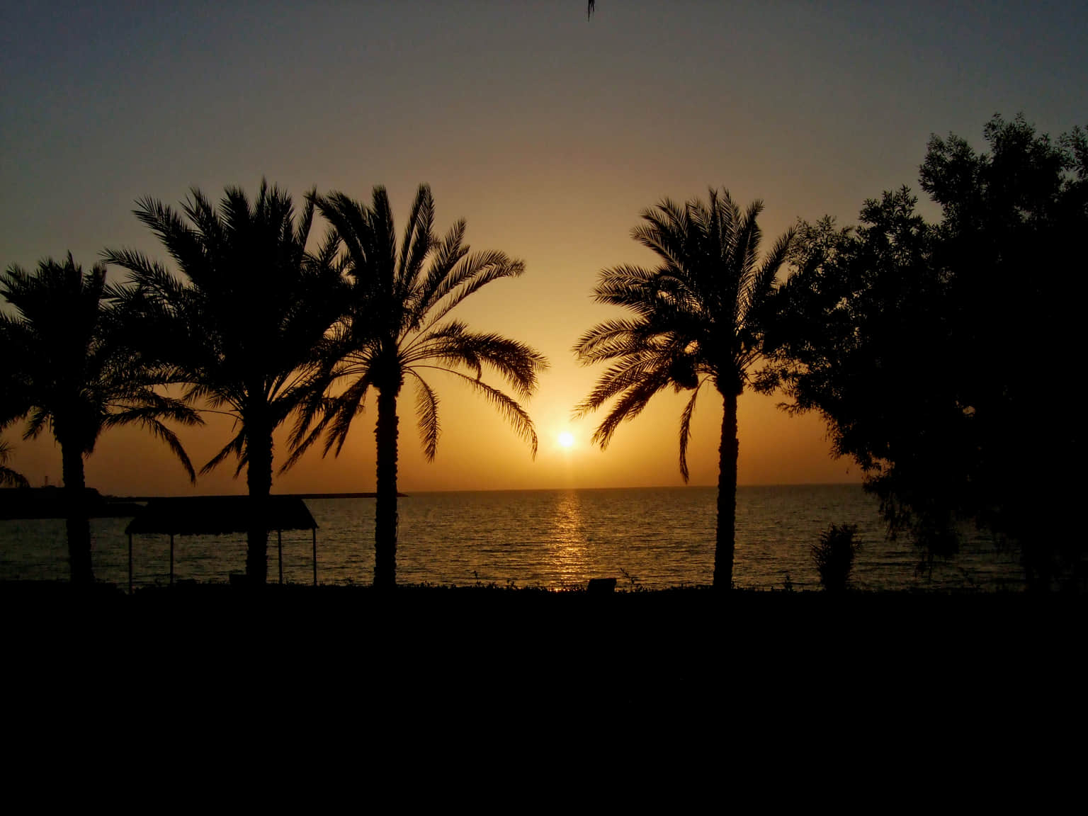 Ghantoot Beach, <em>Dubai</em>