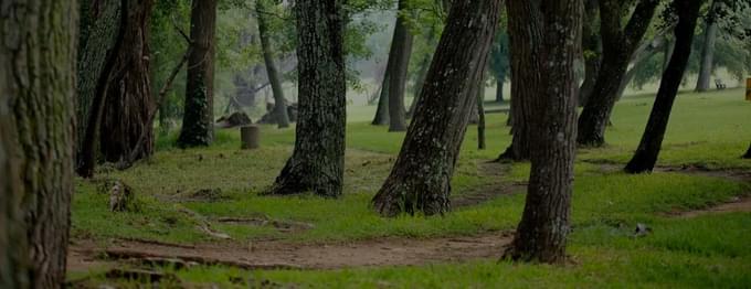 nature reserves in Johannesburg City Parks & Zoo