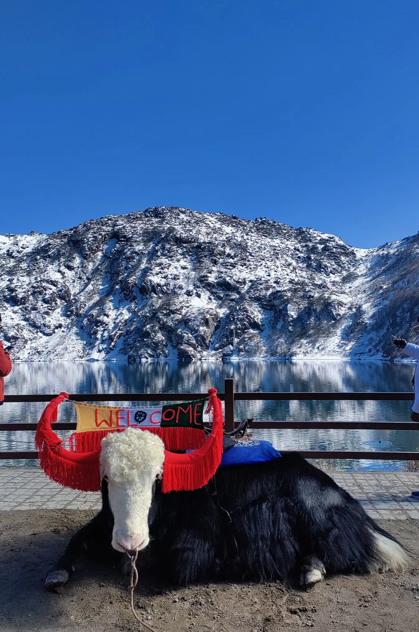 Photo from Mansi Patel's trip