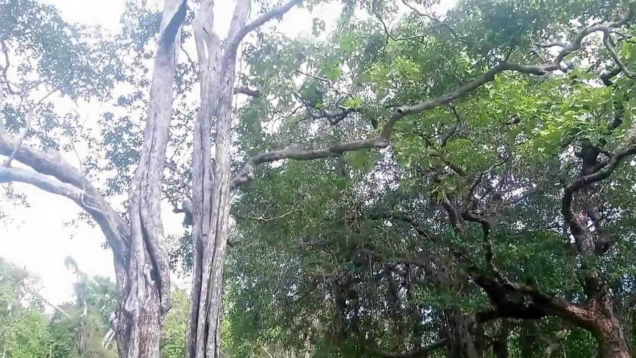 Photo from Mahesh Arora's trip