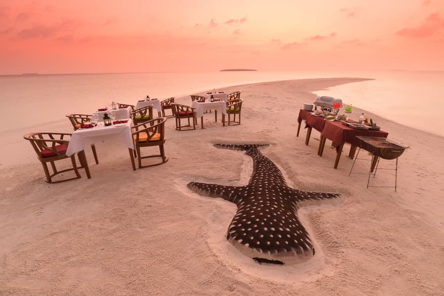 Dhigufaru Island Resort, Maldives Image