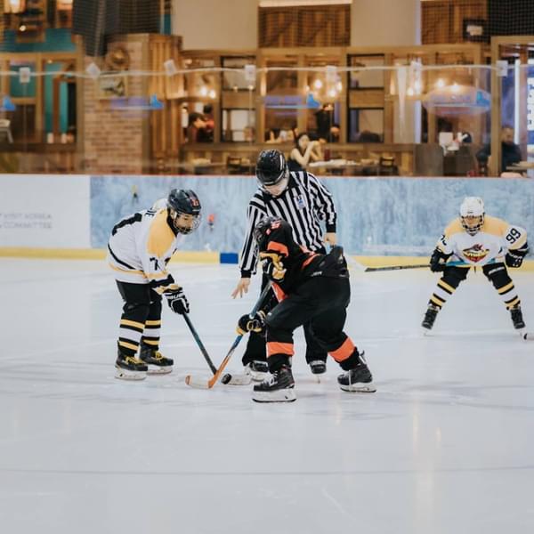Let your kids play ice hockey undersupervision