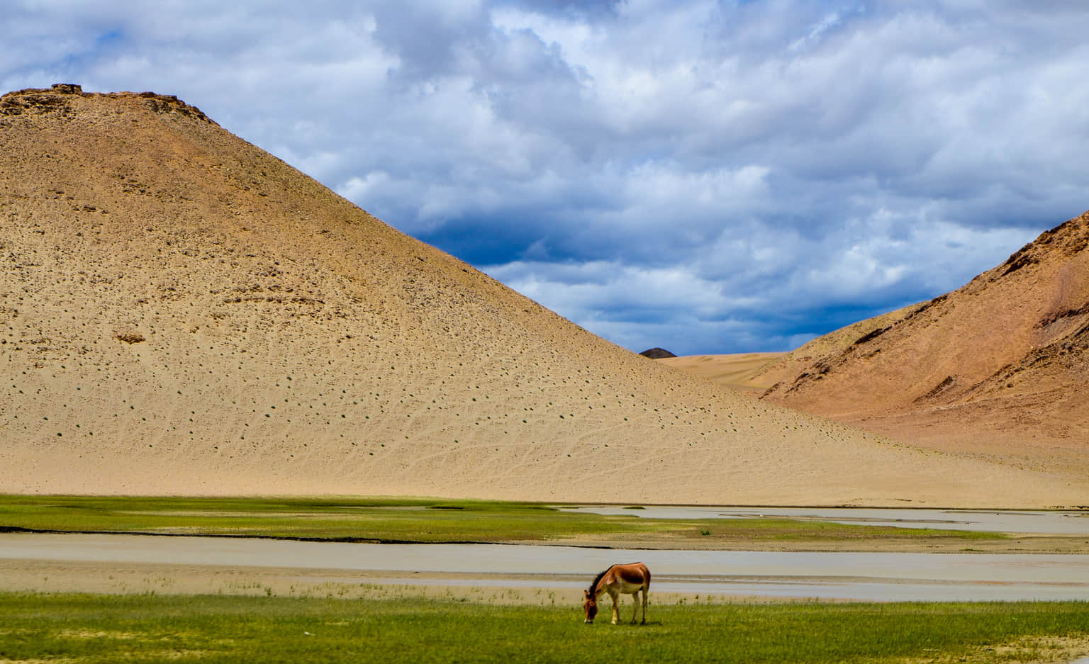 Hanle Monastery