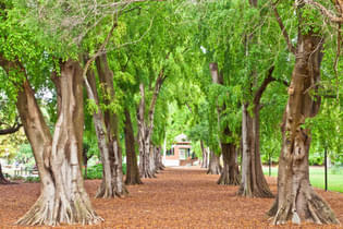 Td505g9disnjbcxn26zye05yv5z3 1621409633 shutterstock 686745088