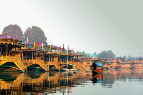 Activity & SightSeeing Image