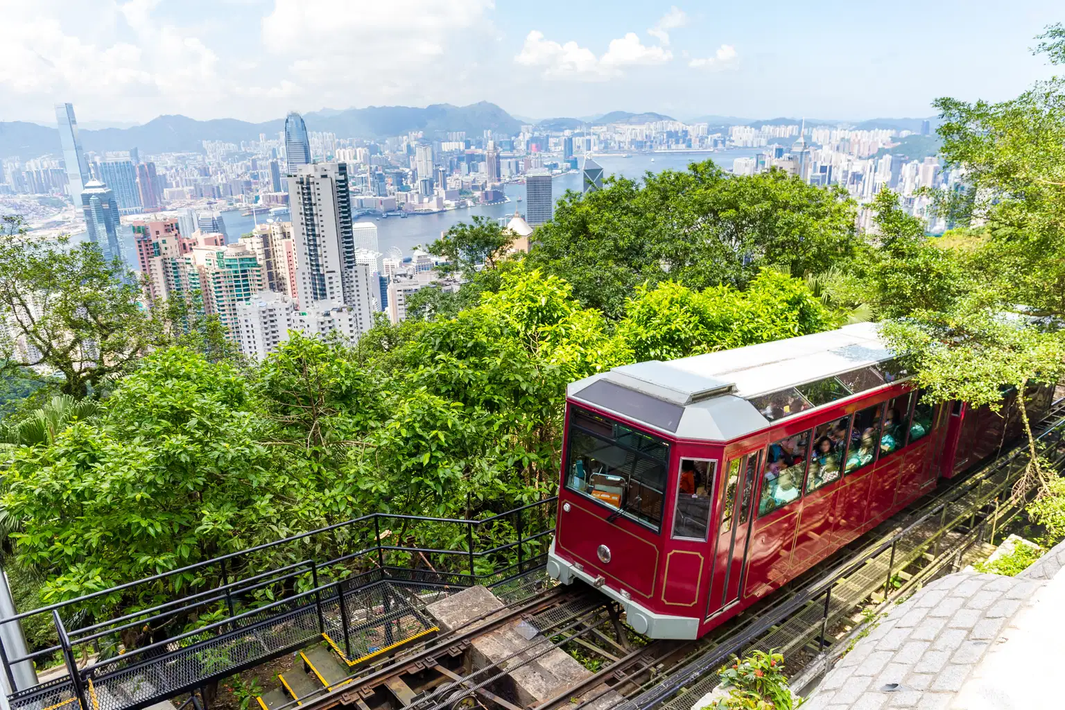 Hong Kong Night Sightseeing Tour