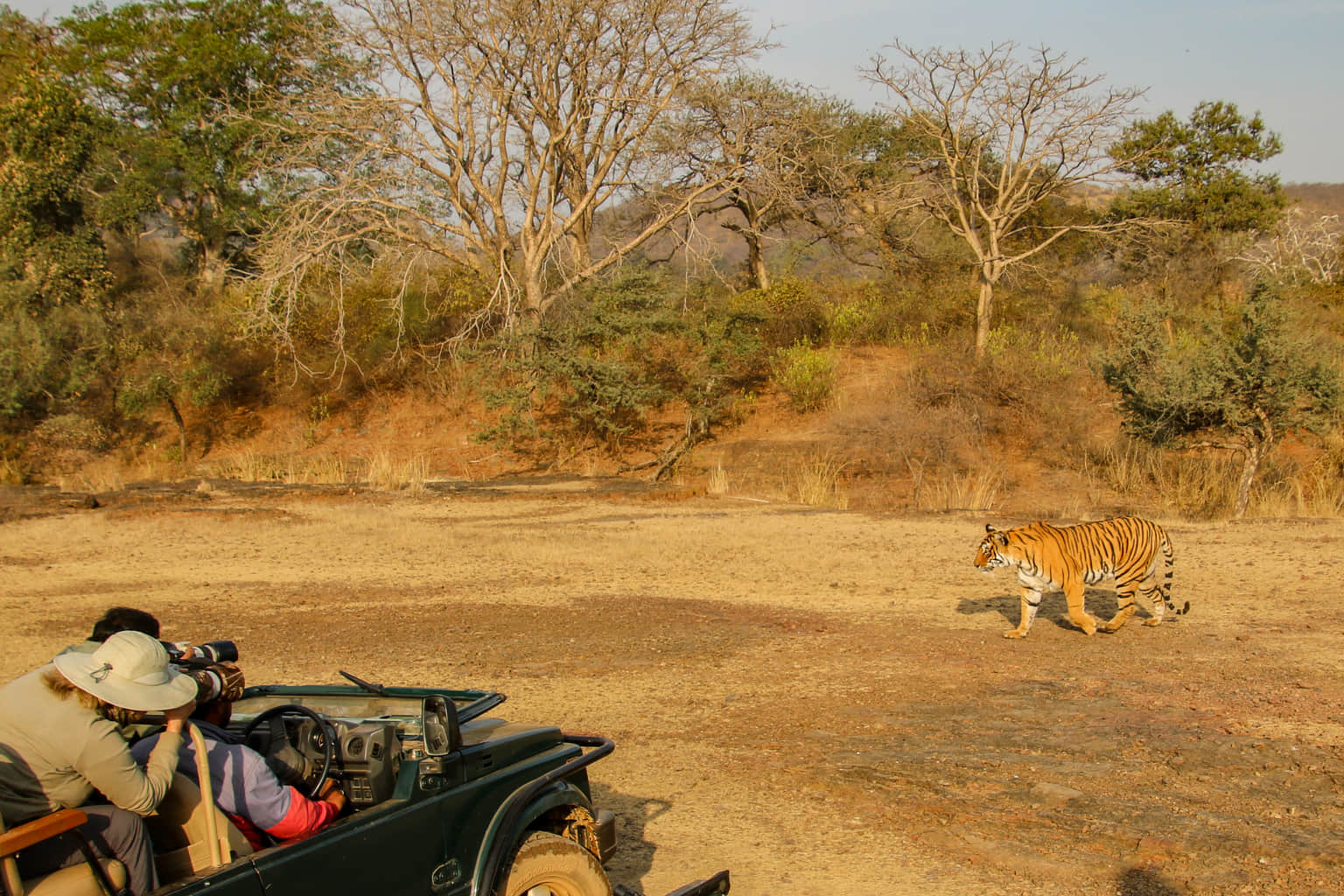 <em>Ranthambore</em> Tour Packages From Chandigarh