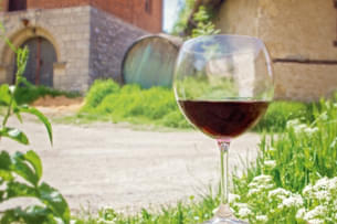 Tdtozajzxc5izrf617izdny54c2r shutterstock 660044830