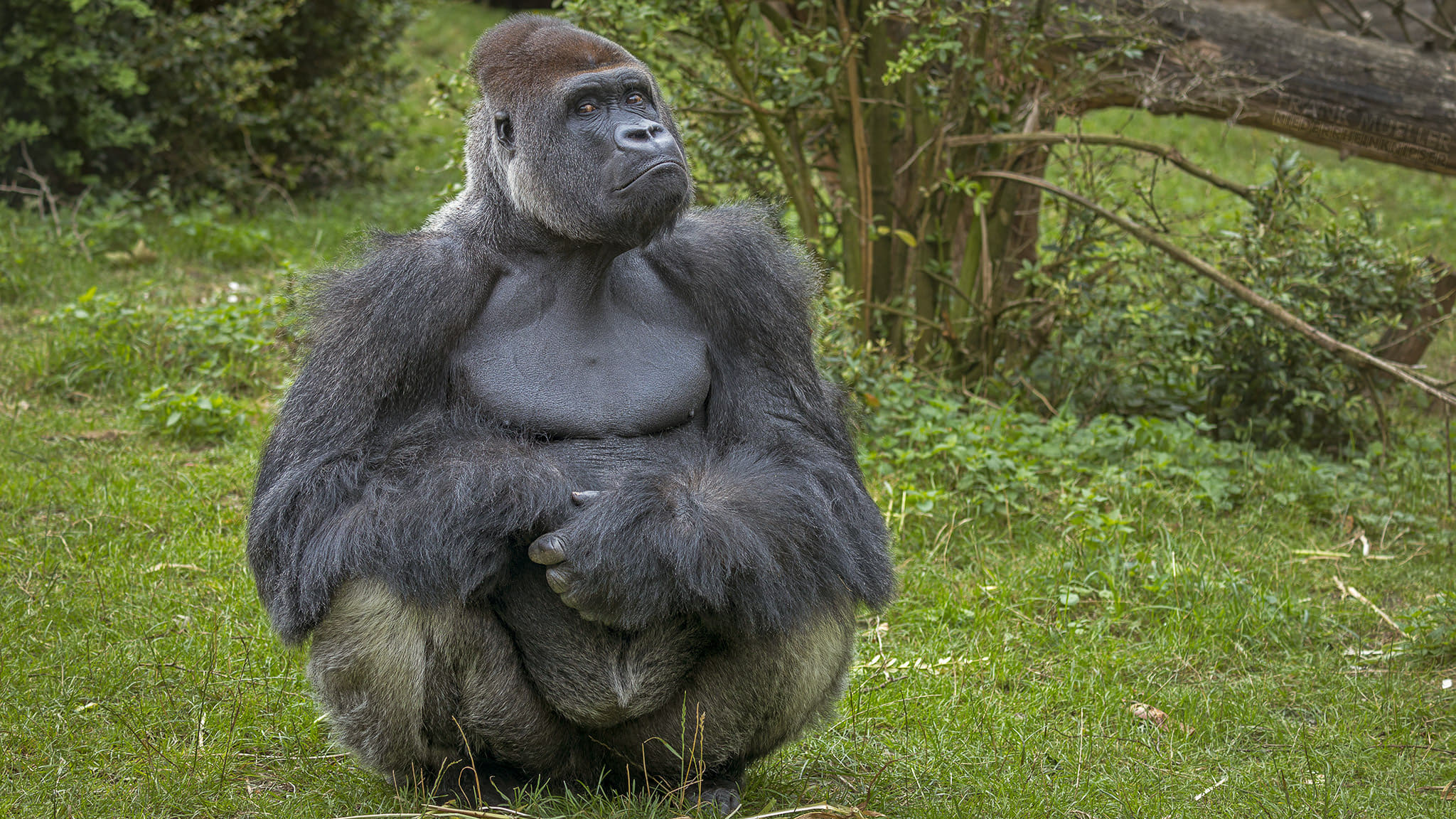 Book Your Burgers Zoo Tickets | Get Upto 30% Off Deals