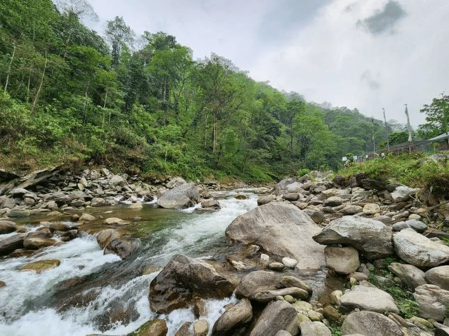 Rimbi River Stroll