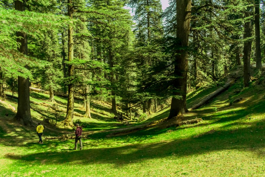 Day Trip to Khajjiar  Image